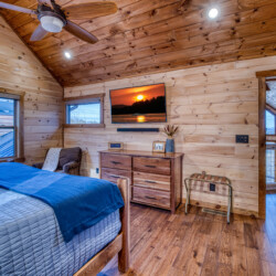 pet friendly cabins in georgia