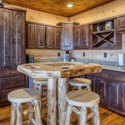 pet friendly cabins in georgia