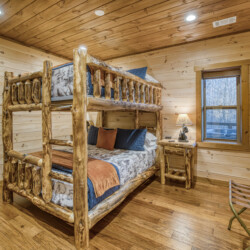 pet friendly cabins in georgia