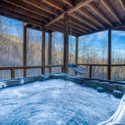 pet friendly cabins in georgia
