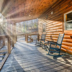 pet friendly cabins in georgia