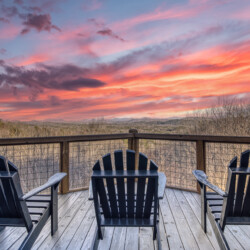 pet friendly cabins in georgia