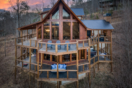 pet friendly cabins in georgia