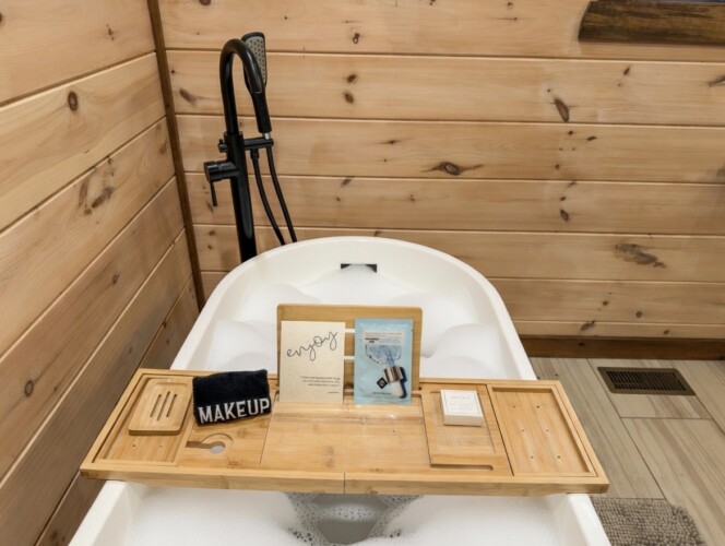 pet friendly cabins in georgia