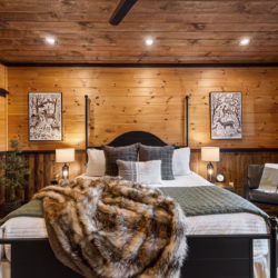 blue ridge georgia cabin with swim spa and sauna