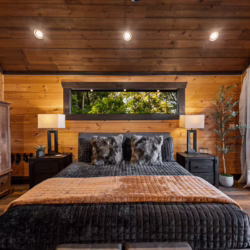 blue ridge georgia cabin with swim spa and sauna