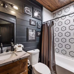 blue ridge georgia cabin with swim spa and sauna
