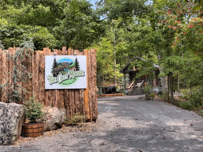 cabin rentals in hot springs ar