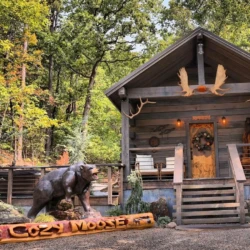 cabin rentals in hot springs ar