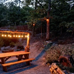 cabin rentals in hot springs ar