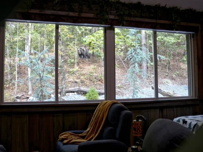 cabin rentals in hot springs ar