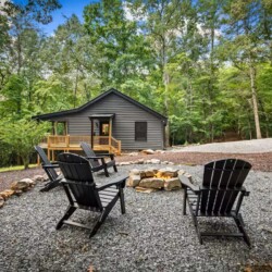 cabins in cherry log ga