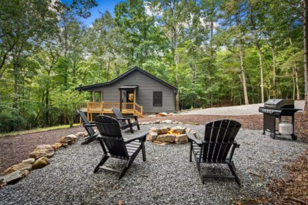 cabins in cherry log ga