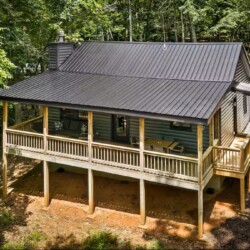 cabins in cherry log ga