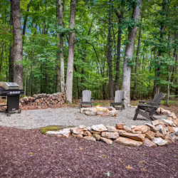 cabins in cherry log ga
