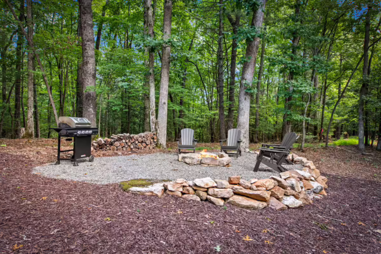 cabins in cherry log ga