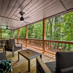 cabins in cherry log ga