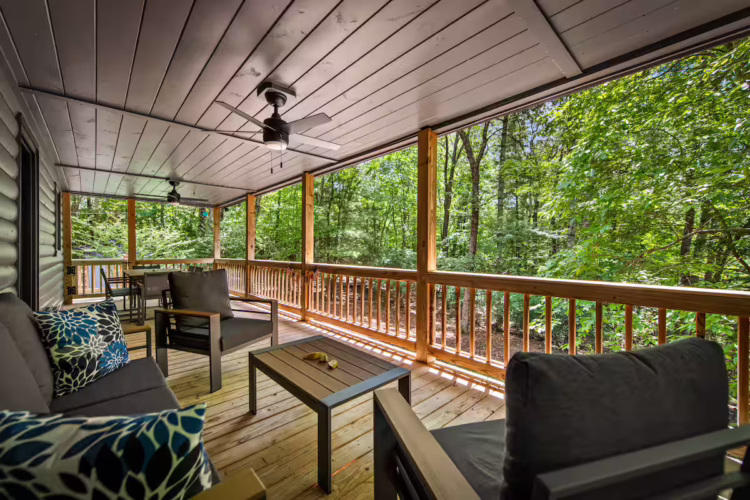 cabins in cherry log ga