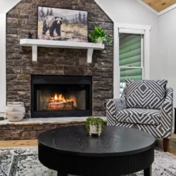 cabins in cherry log ga