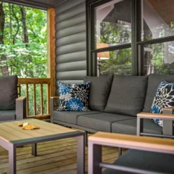 cabins in cherry log ga