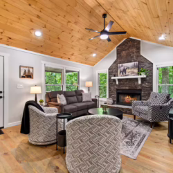 cabins in cherry log ga