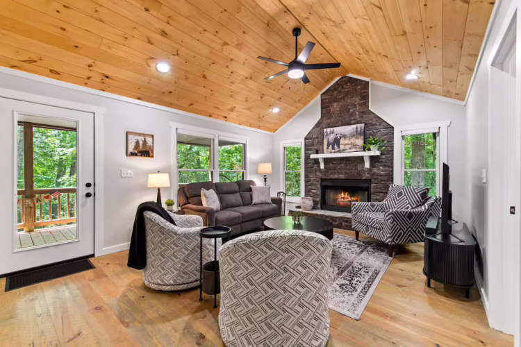 cabins in cherry log ga