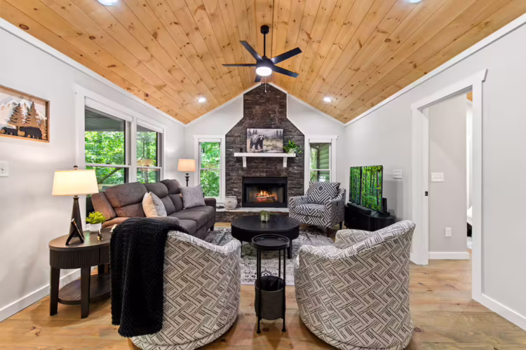 cabins in cherry log ga