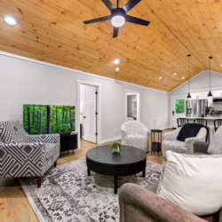 cabins in cherry log ga