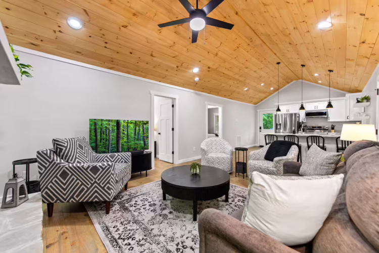 cabins in cherry log ga