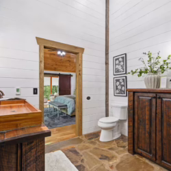 cabins in cherry log ga