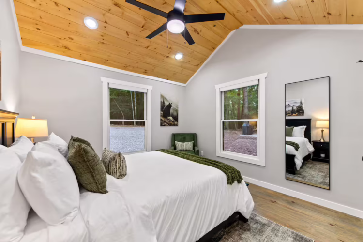 cabins in cherry log ga