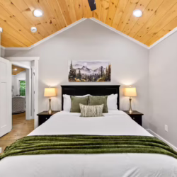 cabins in cherry log ga