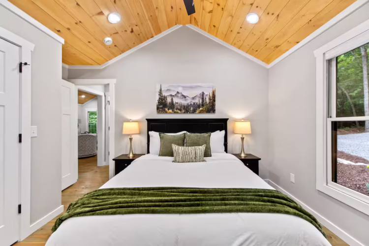 cabins in cherry log ga