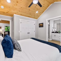 cabins in cherry log ga
