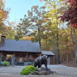 hot springs cabins