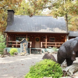 hot springs cabins