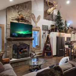 hot springs cabins