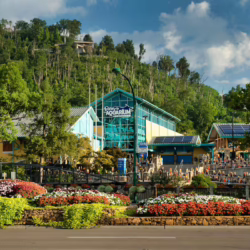 gatlinburg cabin with pool inside