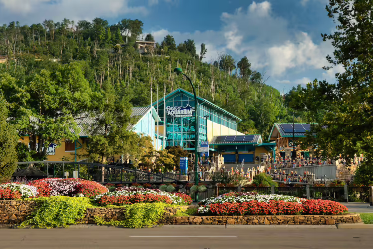 cabins in gatlinburg tn with pool