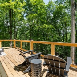 maggie valley cabins pet friendly