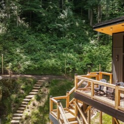 maggie valley cabins pet friendly