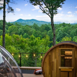 cabin in mineral bluff