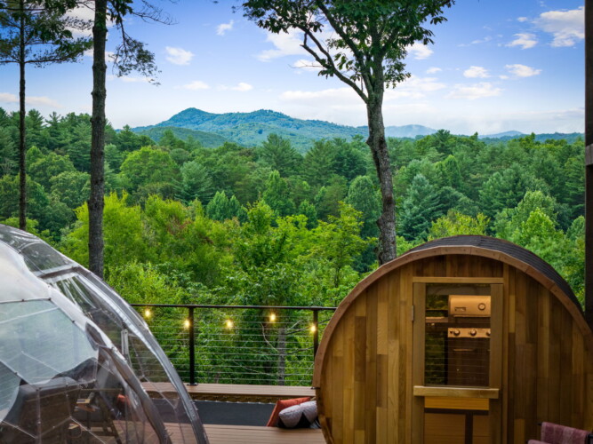 cabin in mineral bluff