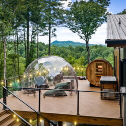 cabin in mineral bluff