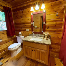 secluded cabins in georgia