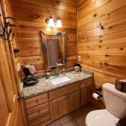 secluded cabins in georgia