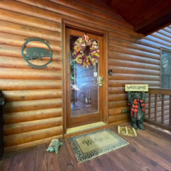 secluded cabins in georgia
