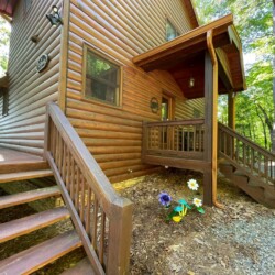 secluded cabins in georgia