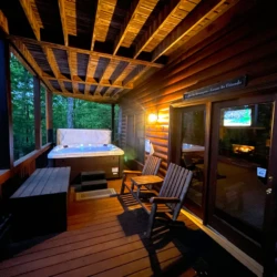 secluded cabins in georgia