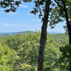 secluded cabins in georgia